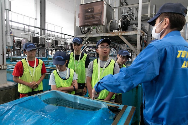 鮮魚の品質管理の方法に関する説明を聞く参加者の写真